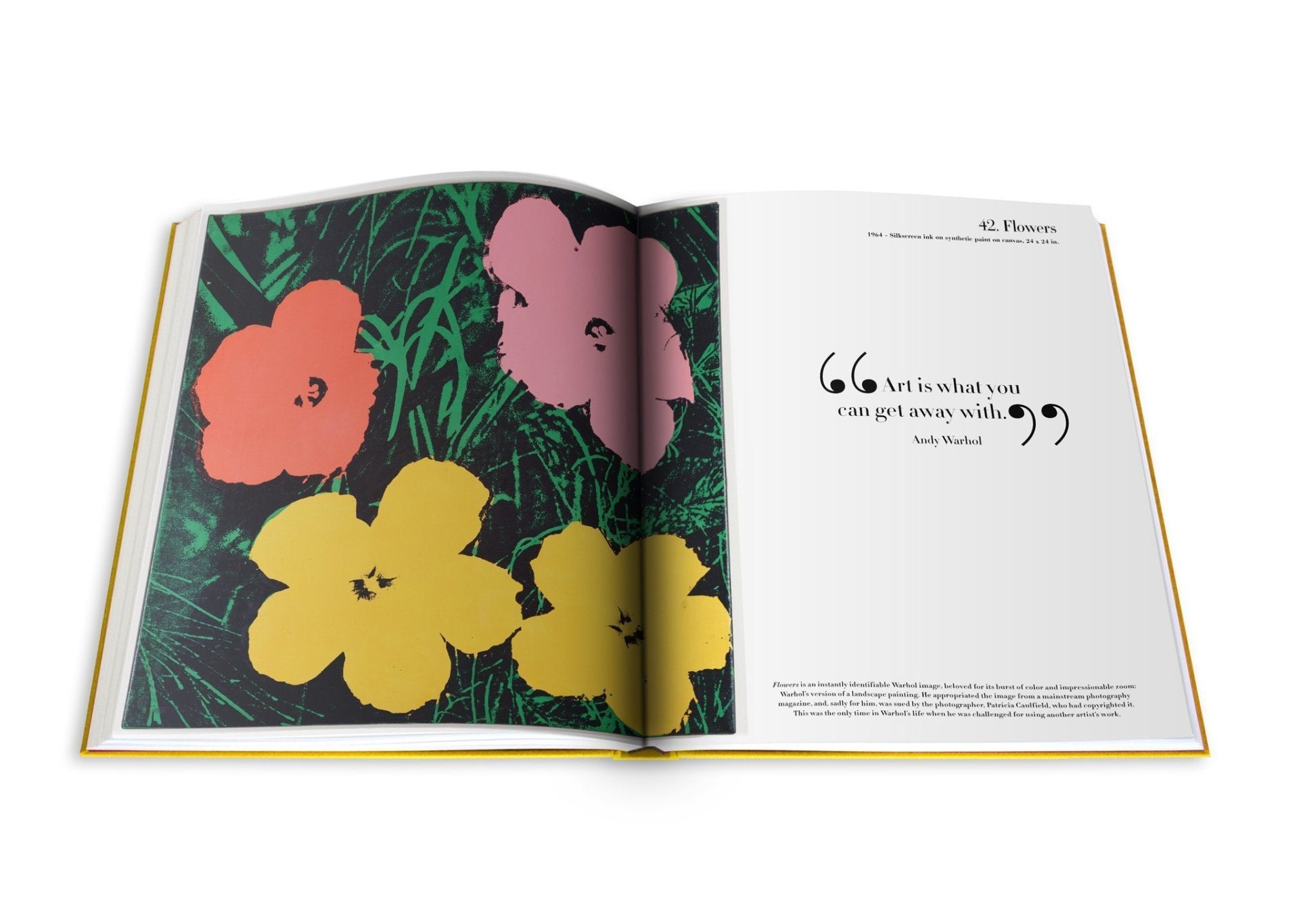 Andy Warhol: The Impossible Collection | Coffee Table Book