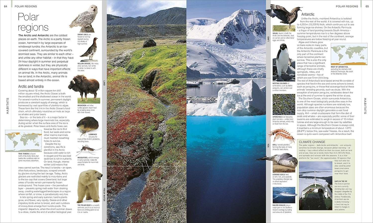 Animal: The Definitive Visual Guide | Koffietafelboek