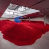 Anish Kapoor: Unseen