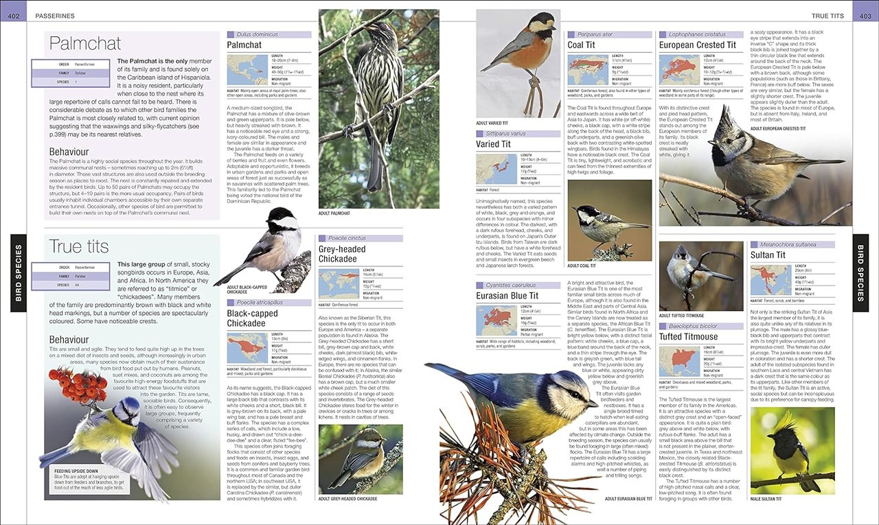 Bird: The Definitive Visual Guide | Coffee Table Book