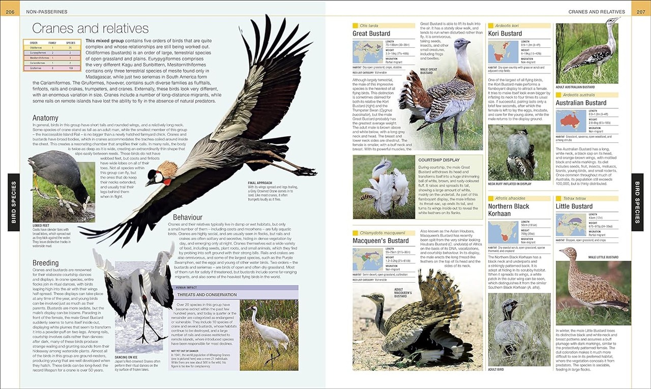 Bird: The Definitive Visual Guide | Coffee Table Book