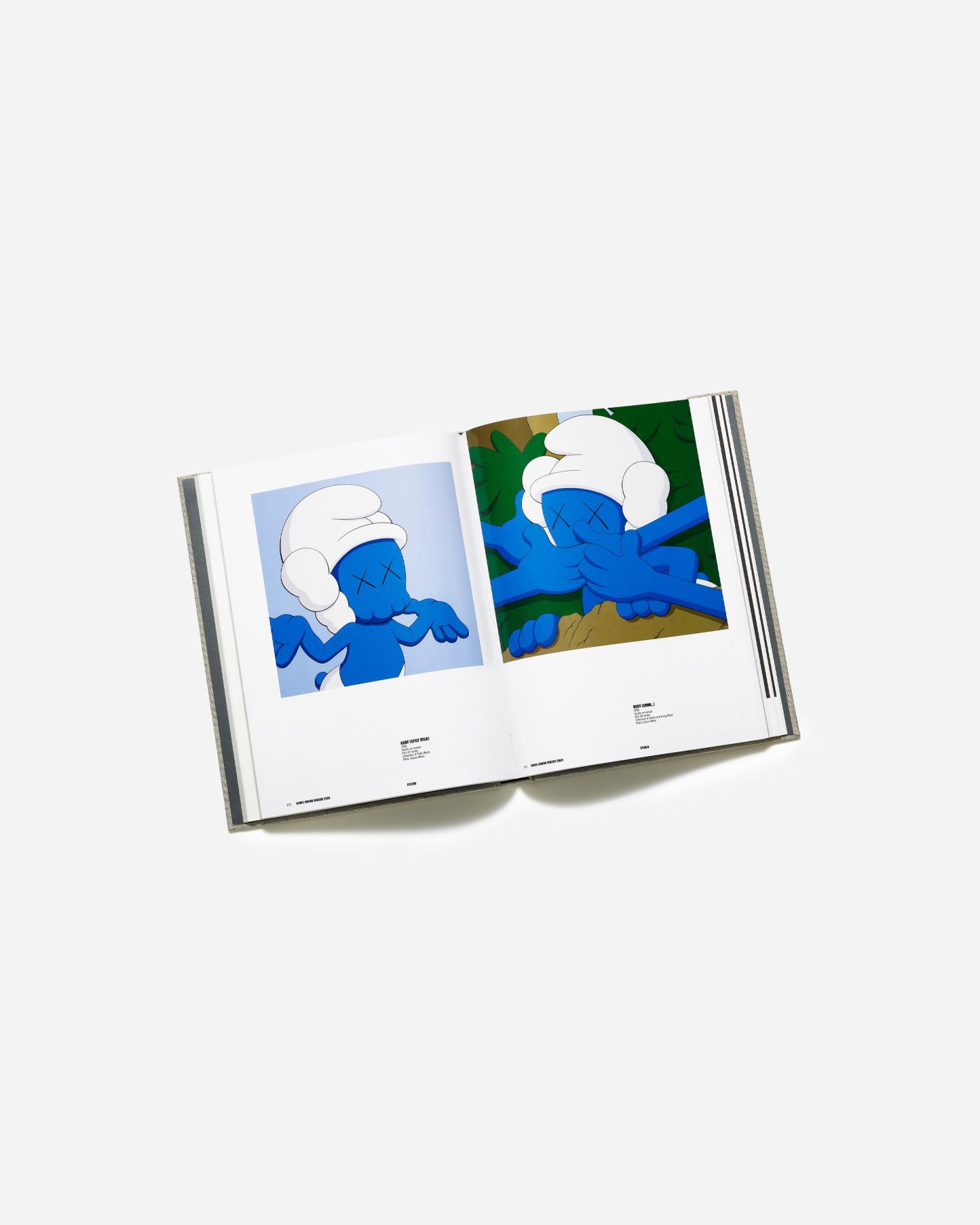 KAWS（Monica Ramírez‑Montagut著）　アートブック KAWS（Monica Ramírez‑Montagut著） アートブック