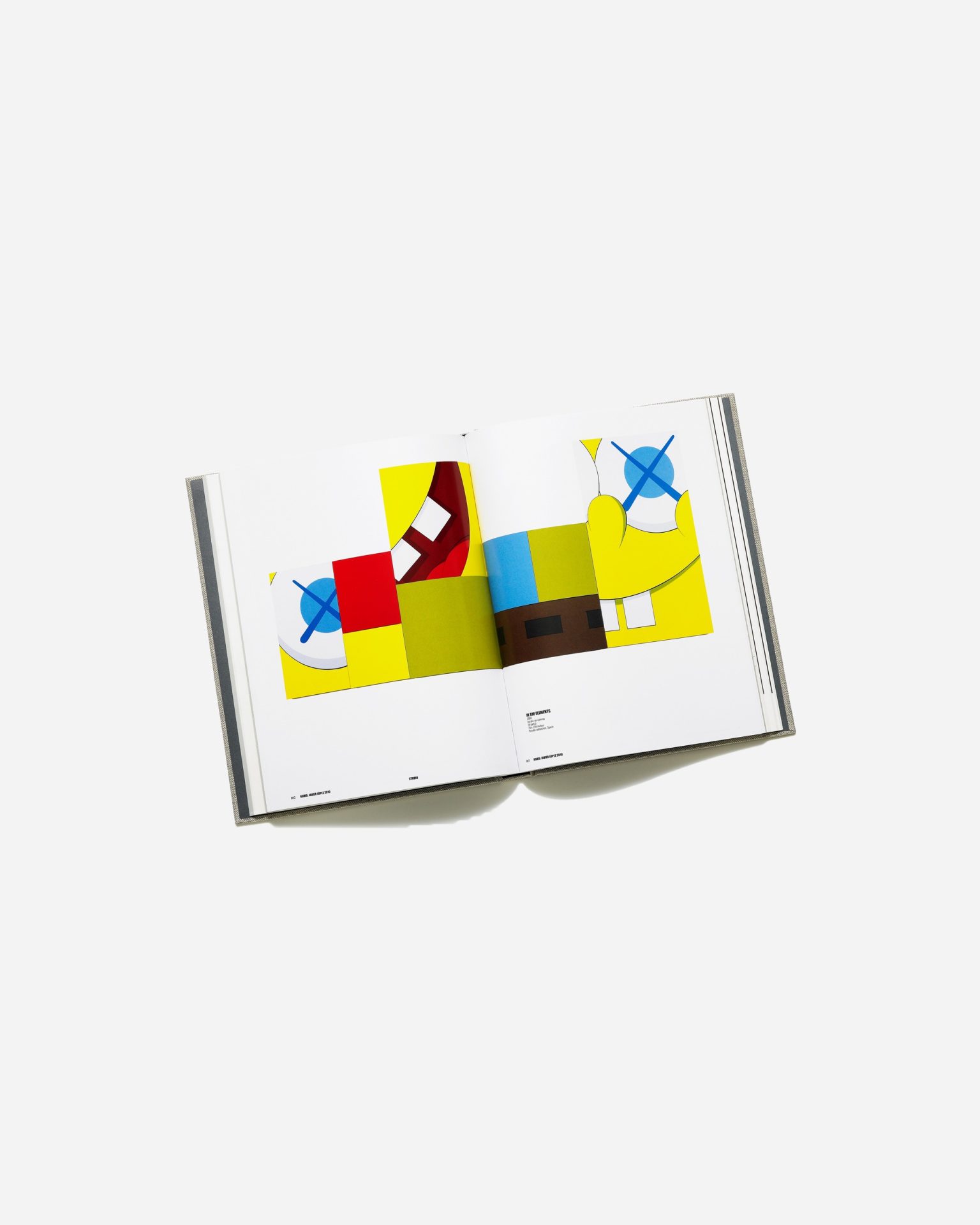 KAWS | Coffee Table Book