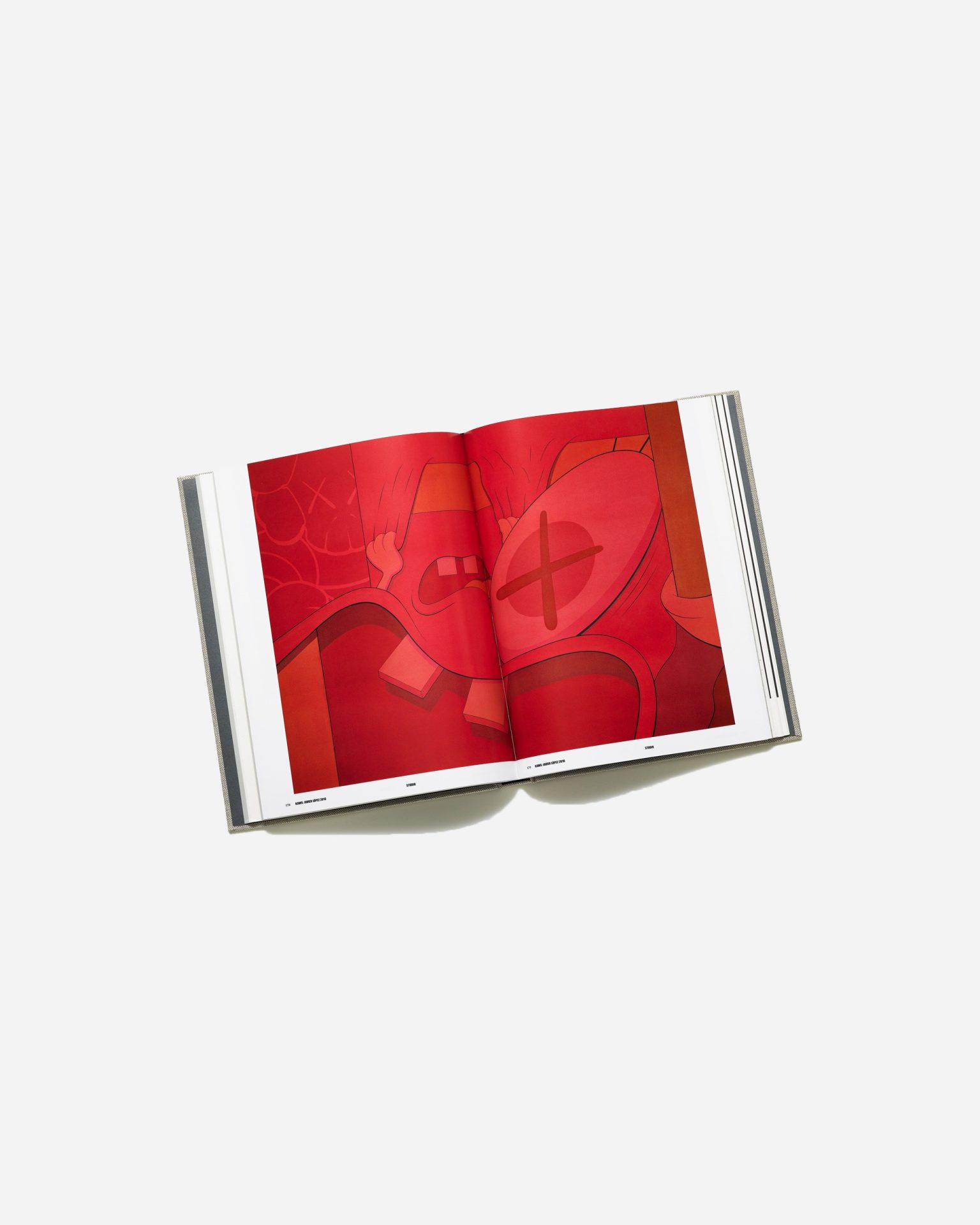 KAWS-Book-Rizzoli2.jpeg