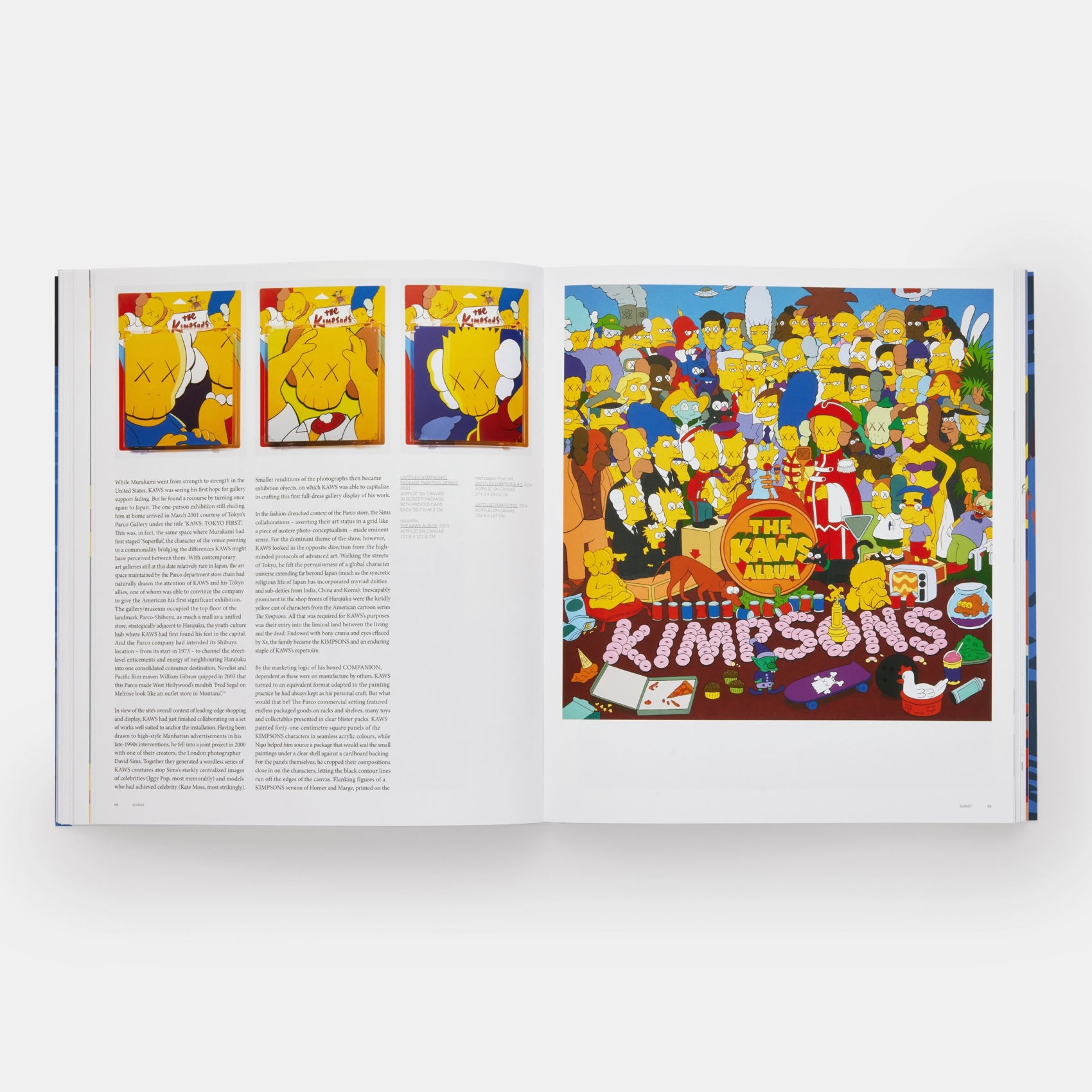kaws c10 the kimpsons 初期作品集 アートブック kaws c10 the