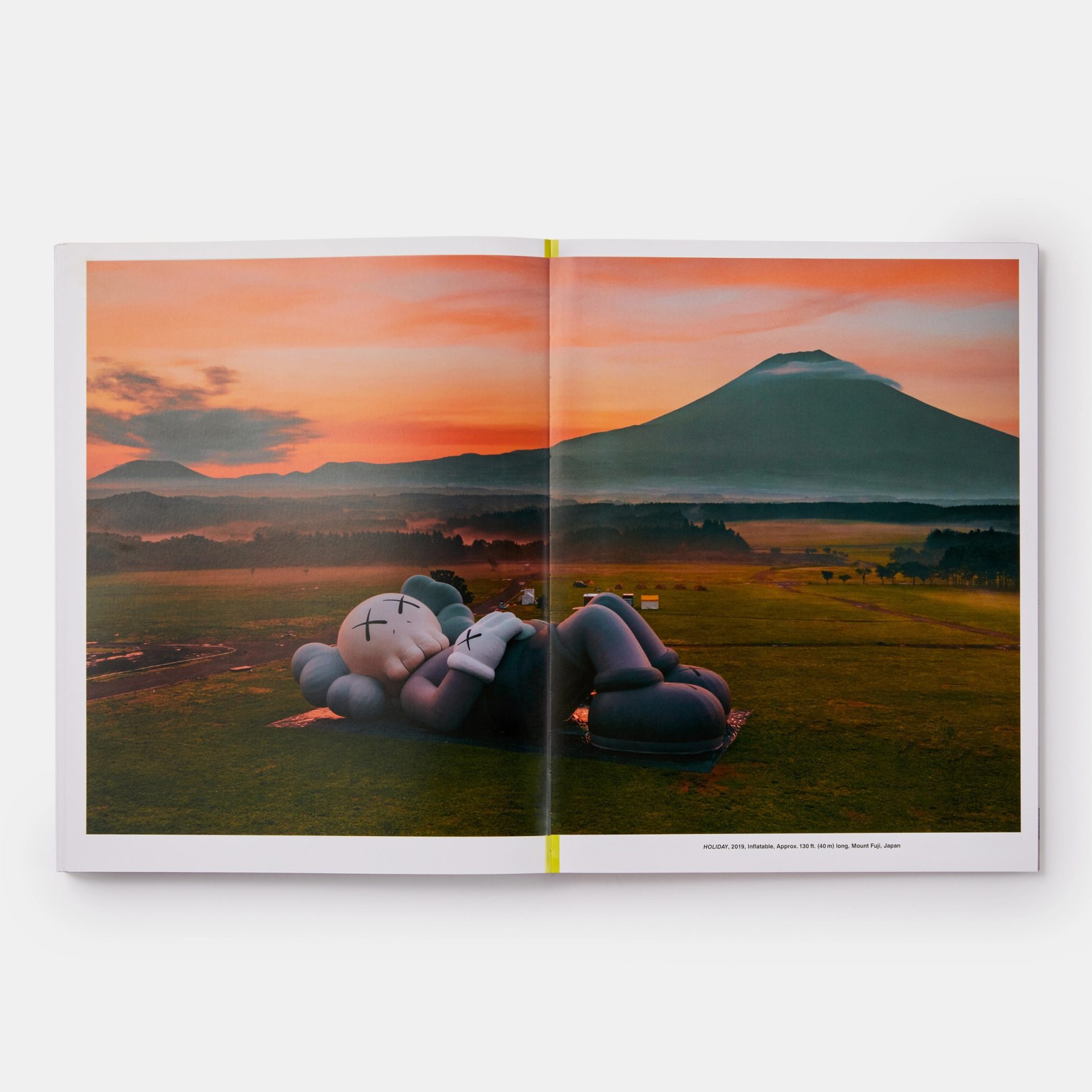 【 KAWS WHAT PARTY 】ART BOOK 洋書 KAWS WHAT PARTY 】ART BOOK 洋書 Amazon.com: KAWS: WHAT PARTY