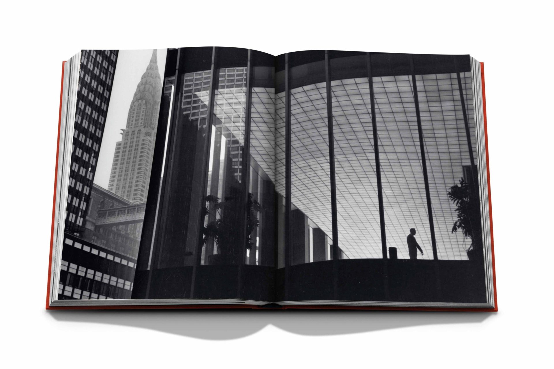 [2007] THE LIGHT OF NEW YORK アスリーヌ社 NewYork-NewYork-Assouline8-
