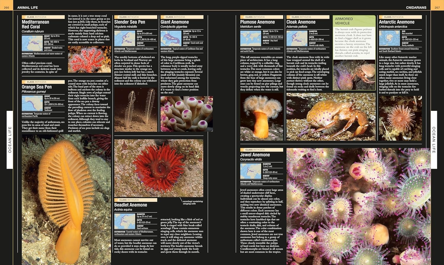 Ocean: The Definitive Visual Guide | Coffee Table Book