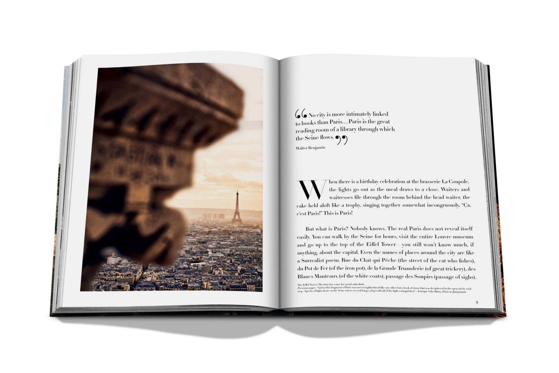 Assouline: Paris Chic | Coffee Table Book