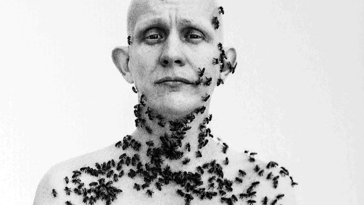 Richard Avedon: Relationships | Coffee Table Book