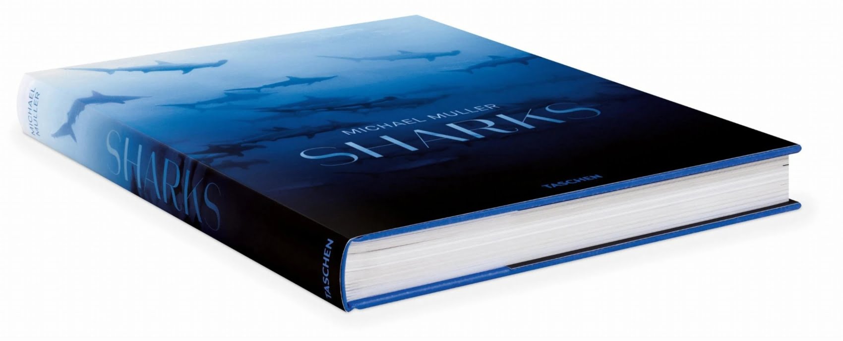 Michael Müller. Sharks | Coffee Table Book