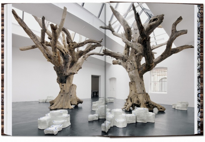 ai-wei-wei-updated-edition8 Ai Weiwei. Updated Edition