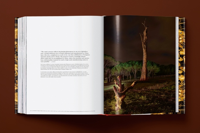 ai-weiwei-updated-edition26 Ai Weiwei. Updated Edition