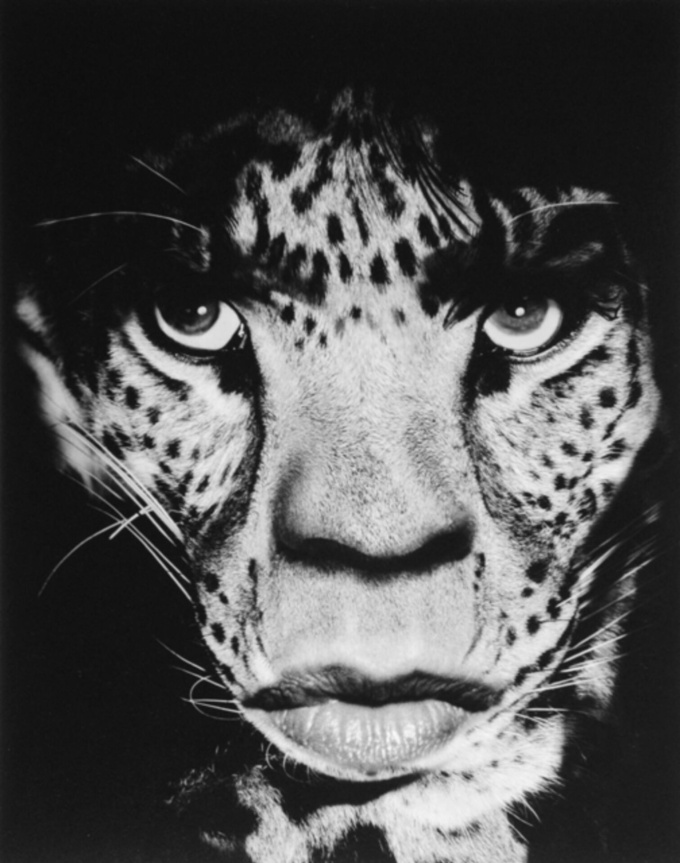 Albert Watson: KAOS