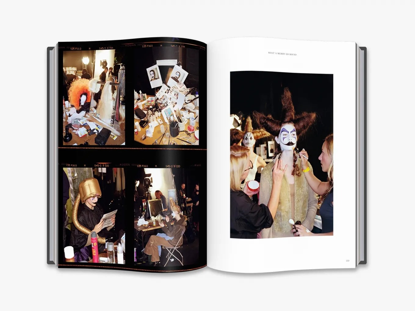 Buy Alexander McQueen Unseen | Fashion Books?