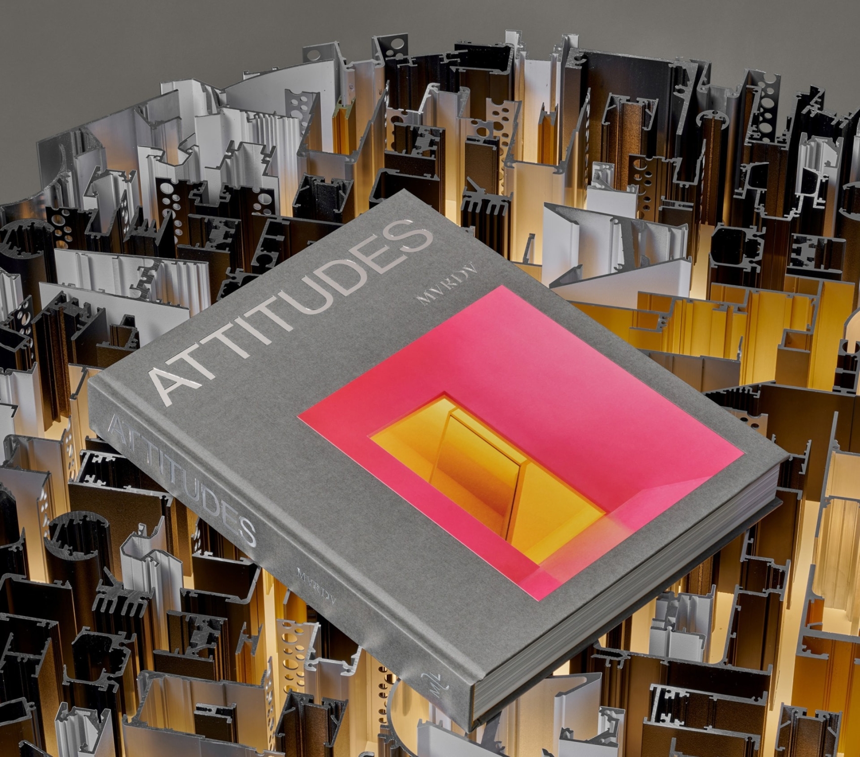 attitudes-mrvdv16.jpg
