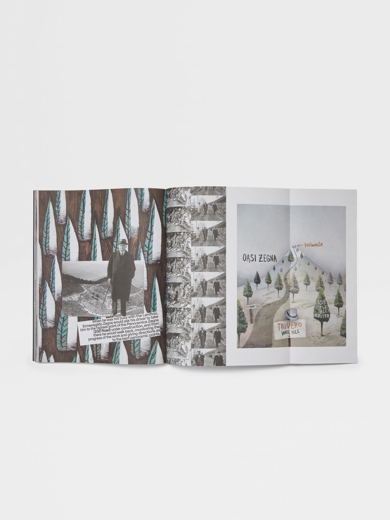 Born in Oasi Zegna | Coffee Table Book