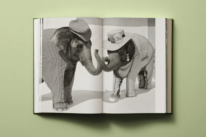 Bruce Weber: My Education