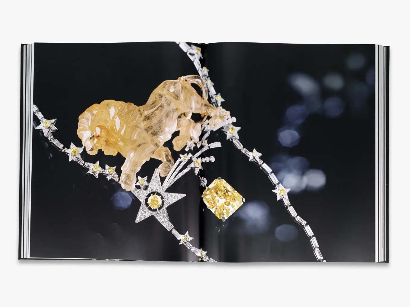 Chanel High Jewelry | Koffietafelboek | Modeboeken kopen?