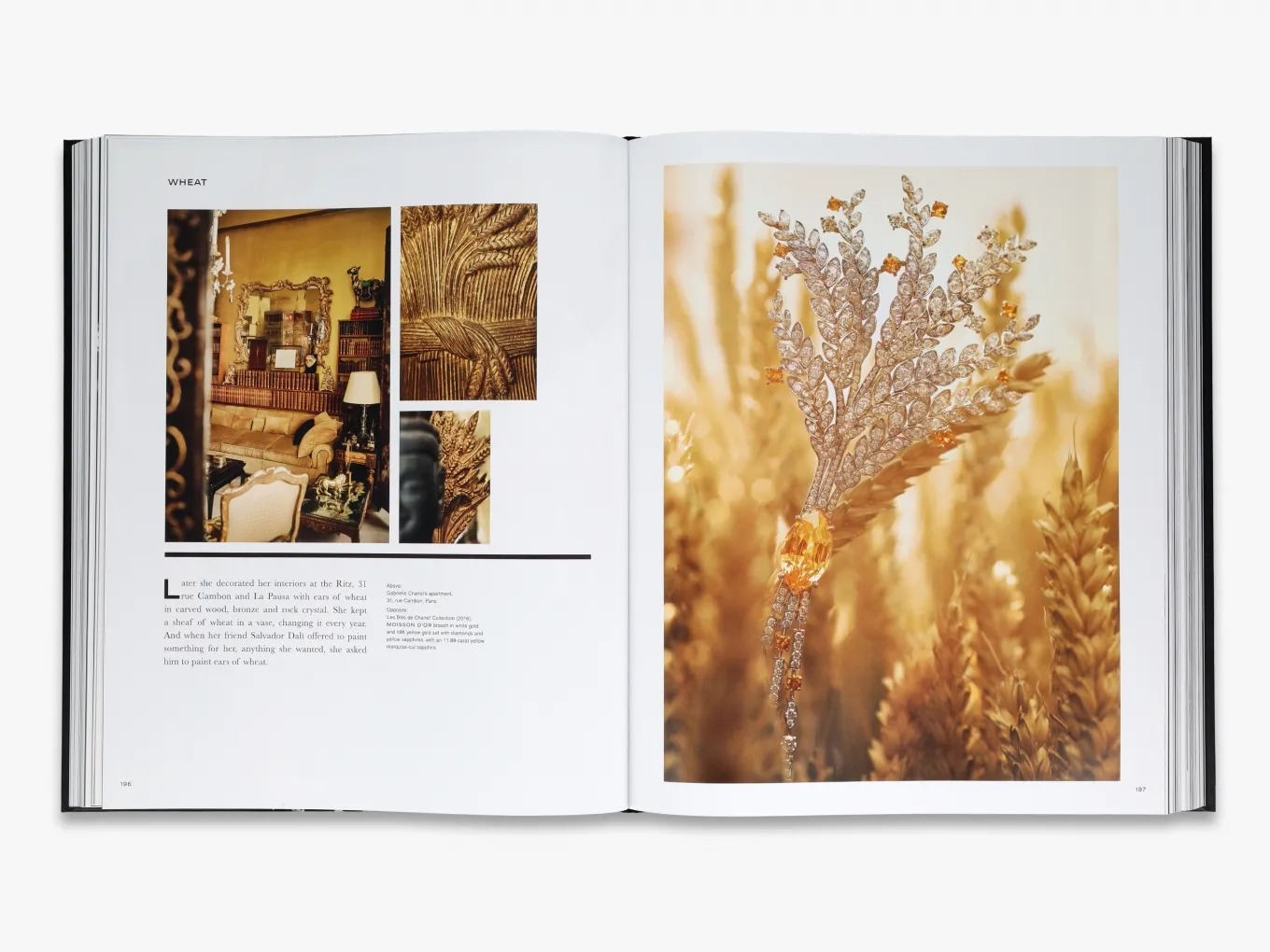 Buy Chanel High Jewelry | Coffee Table Book | Fashion Books?