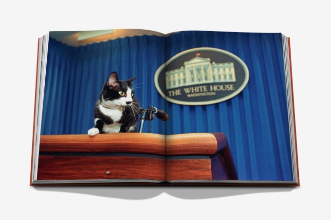 chic-cats-assouline10 Chic Cats