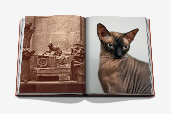 chic-cats-assouline3 Chic Cats