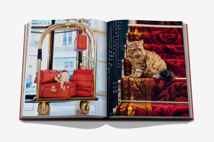 chic-cats-assouline7 Chic Cats