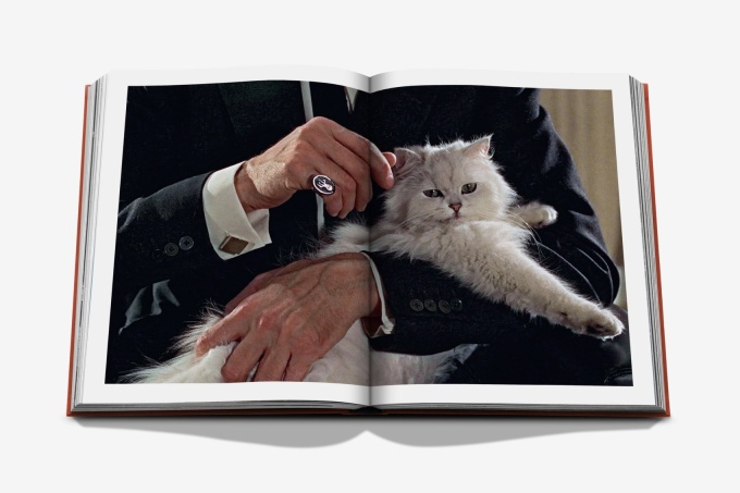 chic-cats-assouline8 Chic Cats