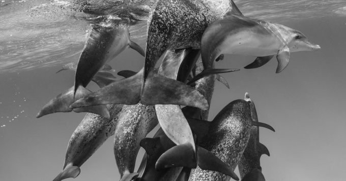 Cristina Mittermeier: The Great Wisdom