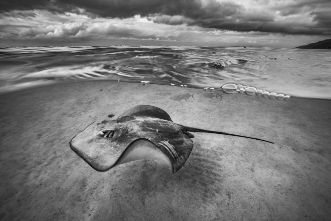 Cristina Mittermeier: The Great Wisdom