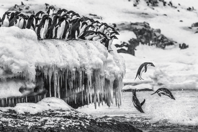 Cristina Mittermeier: The Great Wisdom