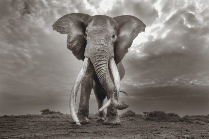 Cristina Mittermeier: The Great Wisdom