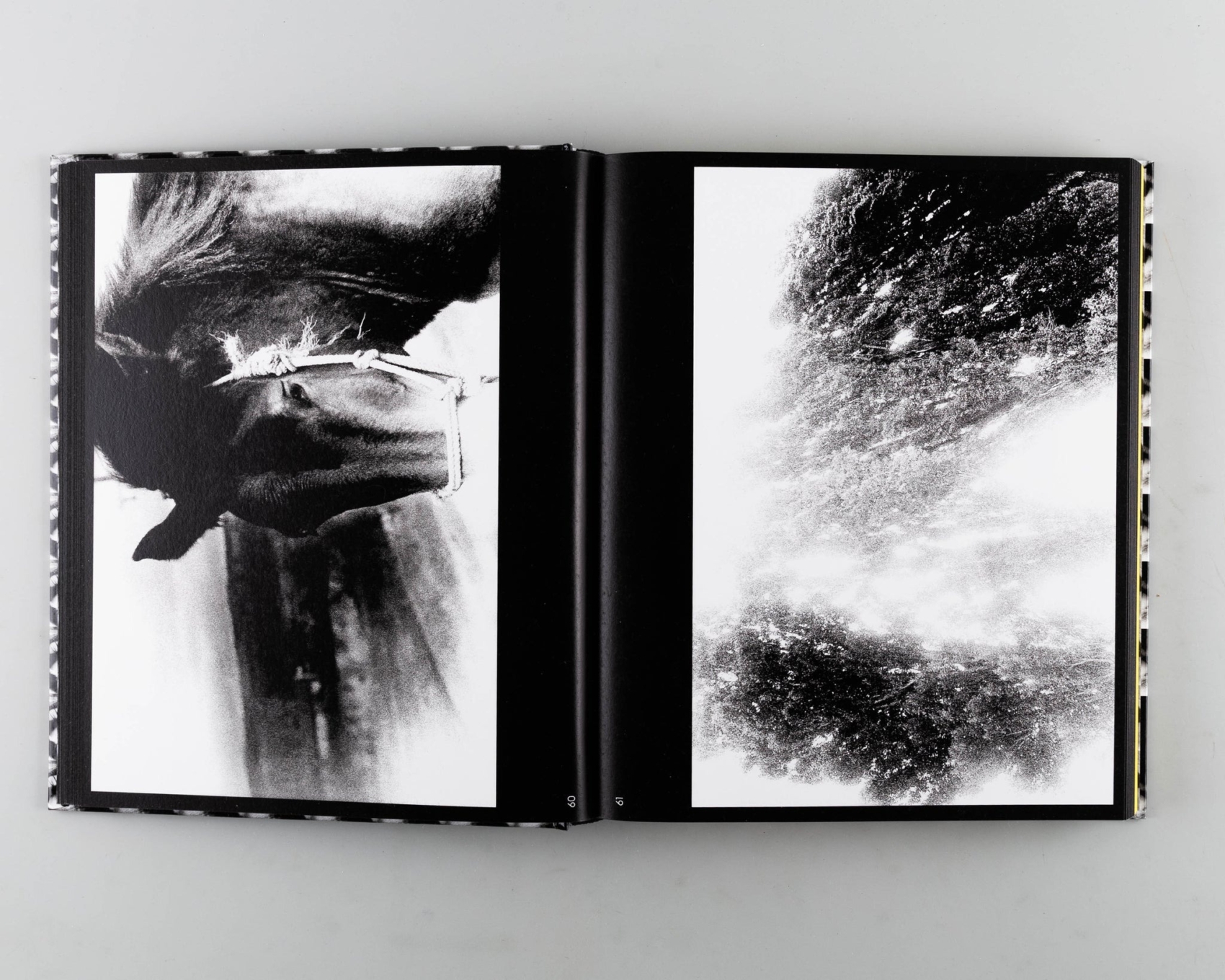 Buy Daido Moriyama: A Retrospective | Photography books?