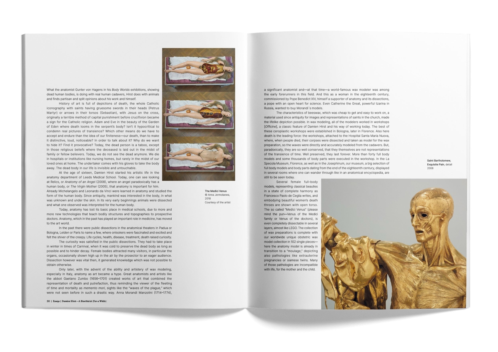 Damien Hirst, To Live Forever (For a While) | Art Book