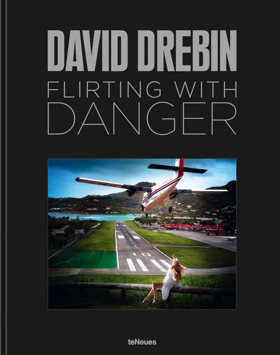 David Drebin: Flirting with Danger