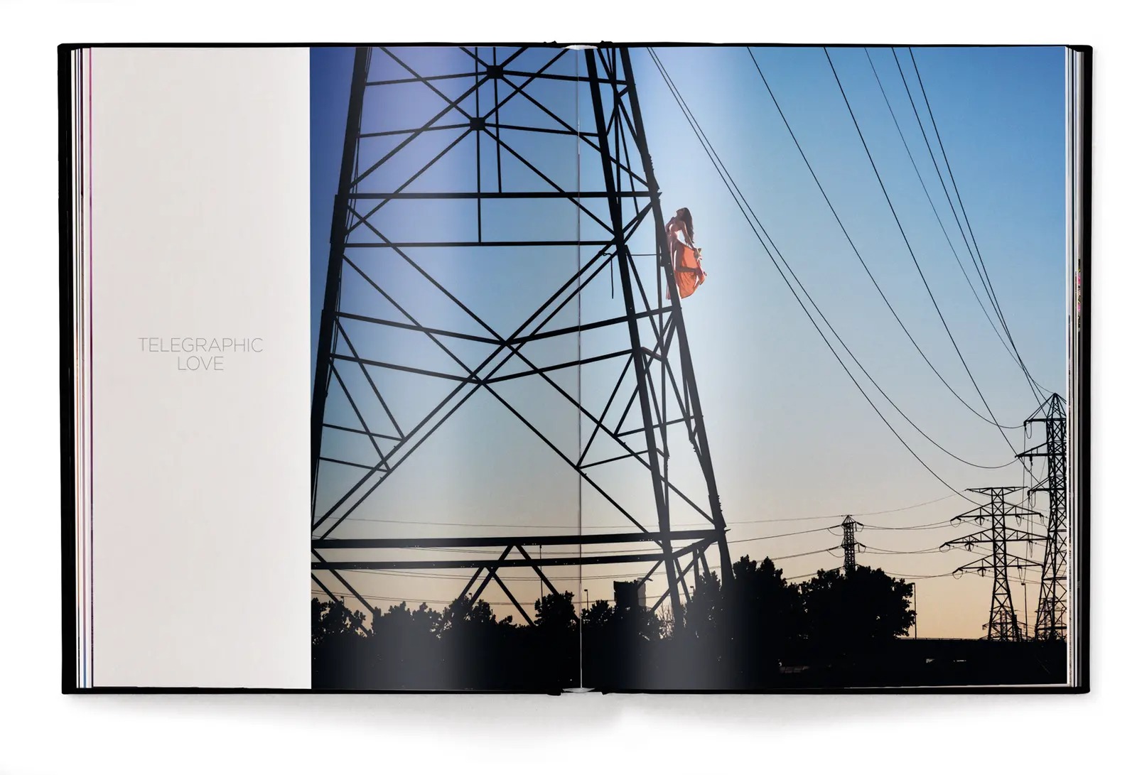 David Drebin: Flirting with Danger | Coffee Table Book