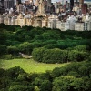 David Drebin: I Love New York