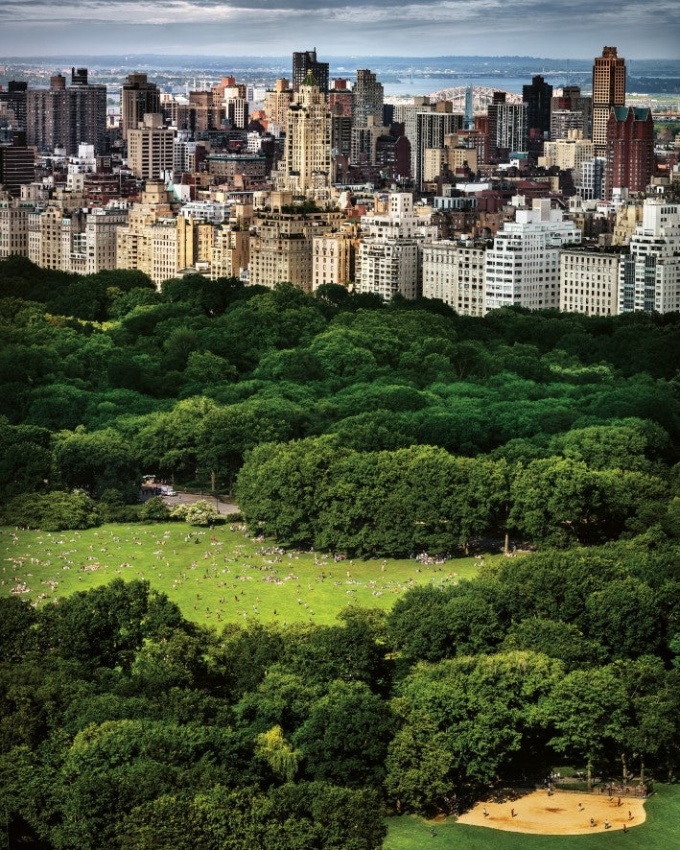 David Drebin: I Love New York