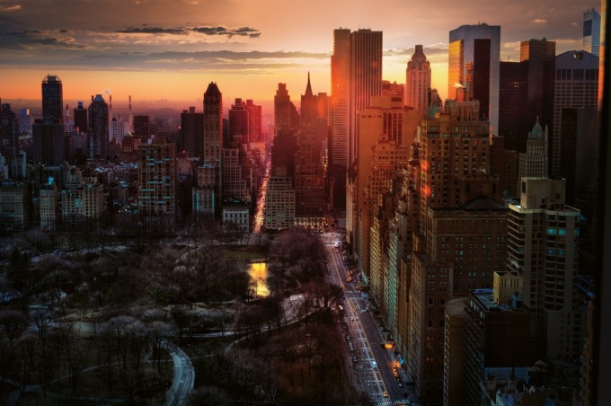 David Drebin: I Love New York