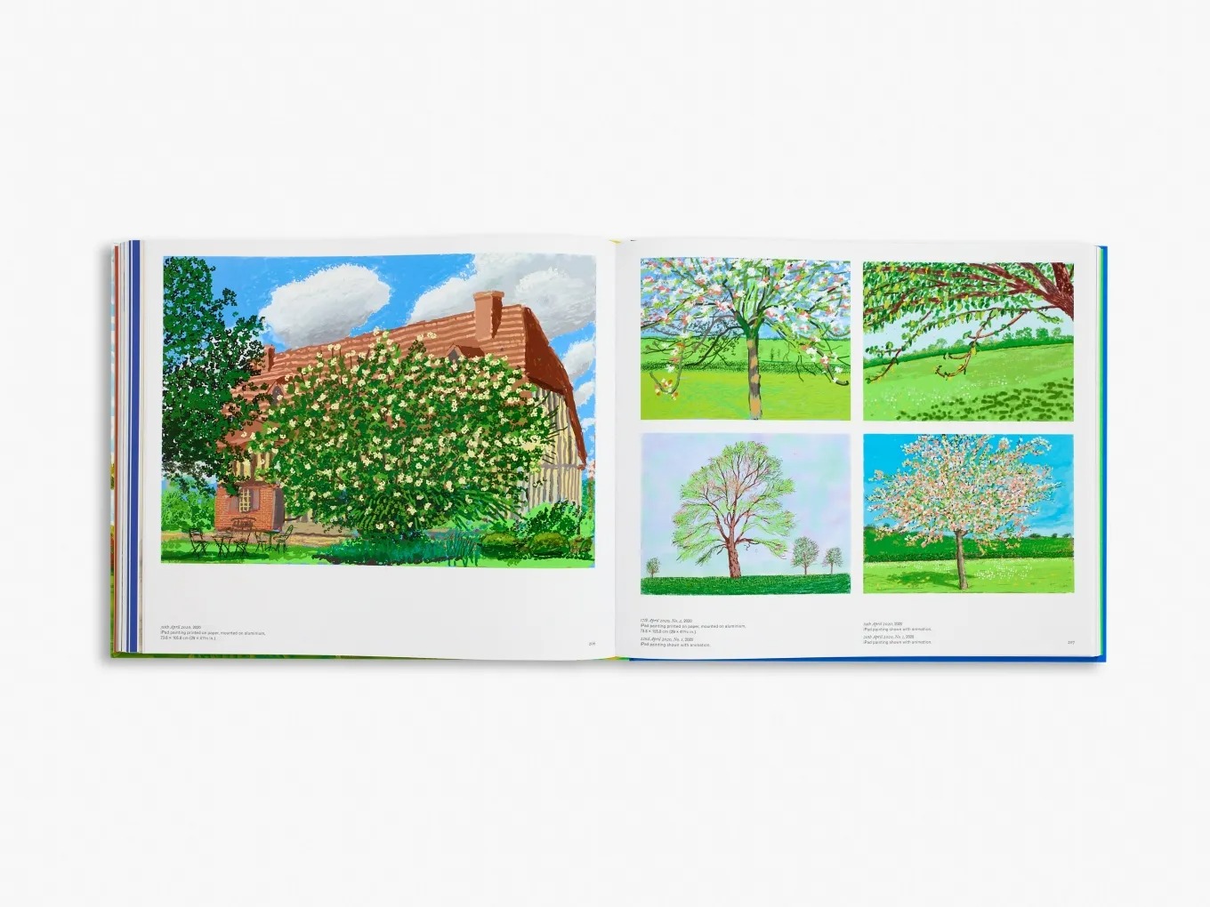David Hockney | Louis Vuitton Art Book