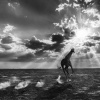 David Yarrow: Wild Encounters
