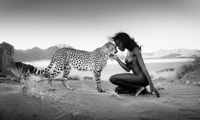 David Yarrow: Wild Encounters