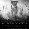 David Yarrow: Wild Encounters
