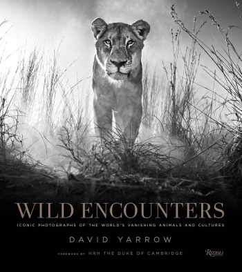 David Yarrow: Wild Encounters