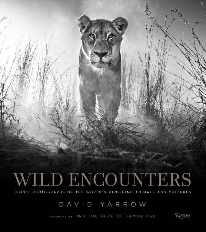 David Yarrow: Wild Encounters