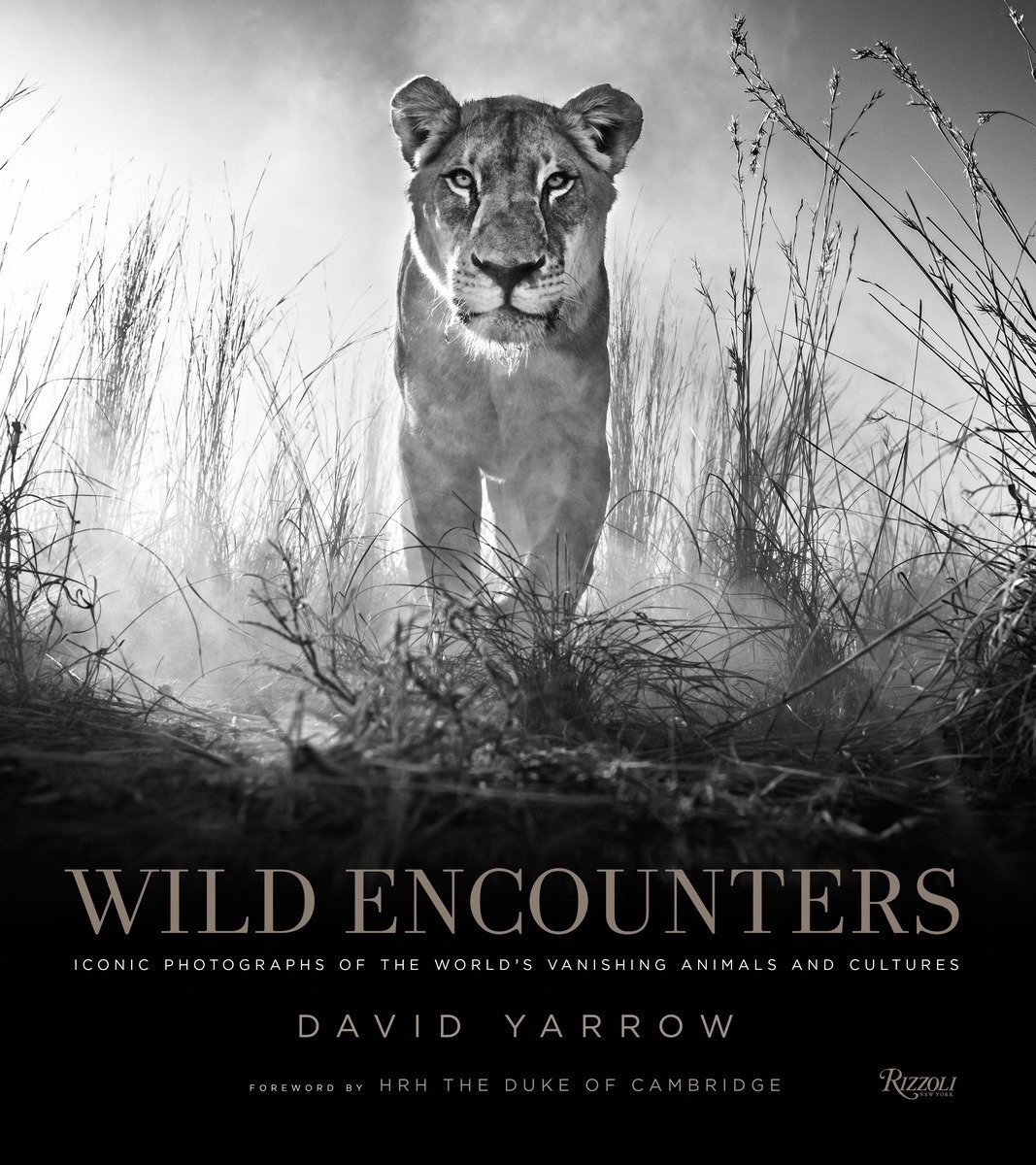 David Yarrow: Wild Encounters