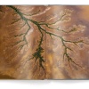 Deserts: The World's Most Fascinating Places