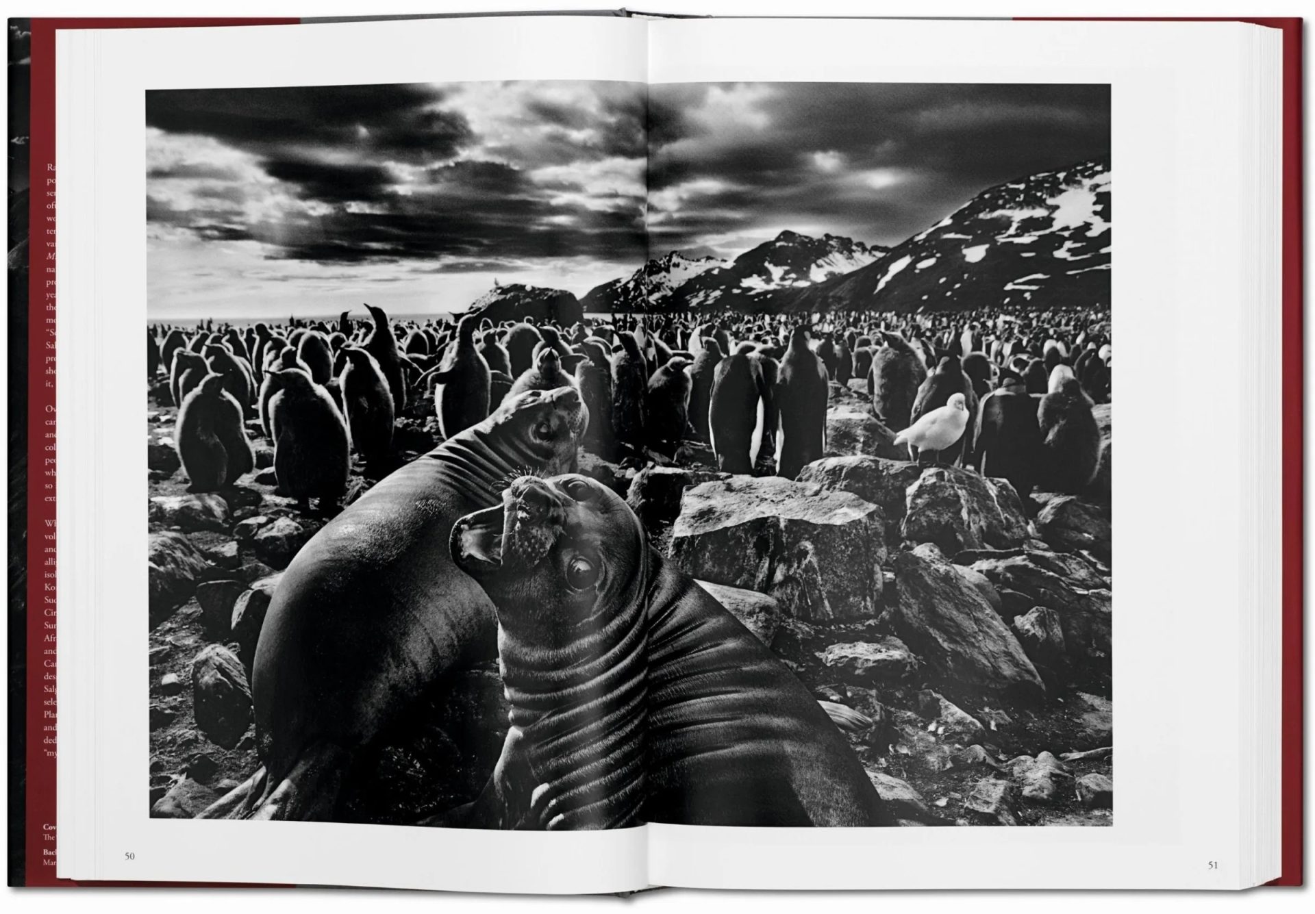 Sebastião Salgado: Genesis | Koffietafelboek