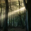 gosse-gouma-new-light-netherlands11 Gosse Bouma: A New Light on the Netherlands