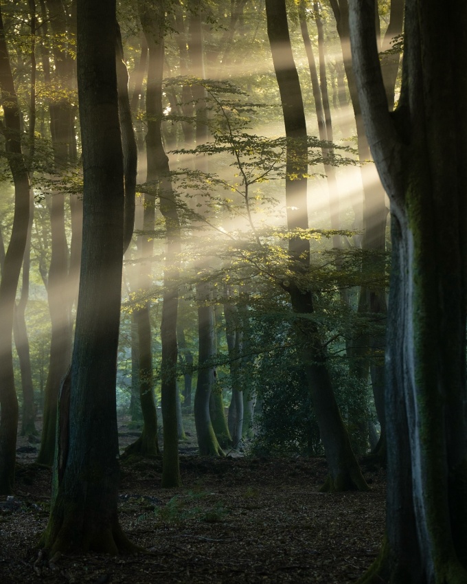 gosse-gouma-new-light-netherlands11 Gosse Bouma: A New Light on the Netherlands